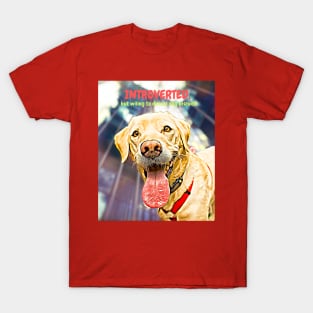 Introverted, but open to discussing dog biscuits T-Shirt